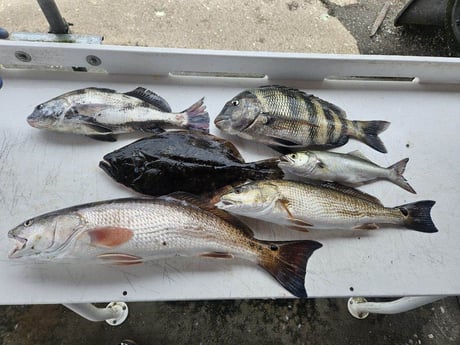 Fishing in Jacksonville, Florida