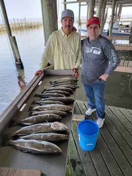 Speckled Trout / Spotted Seatrout fishing in San Leon, Texas