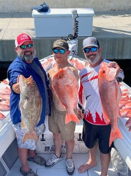 Red Snapper, Scamp Grouper Fishing in Clearwater, Florida
