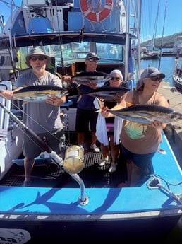 Yellowfin Tuna Fishing in Kapaʻa, Hawaii