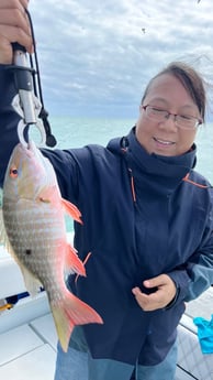Mutton Snapper Fishing in Miami, Florida