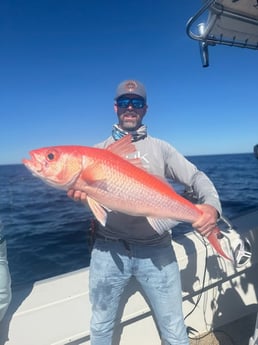 Fishing in Tierra Verde, Florida