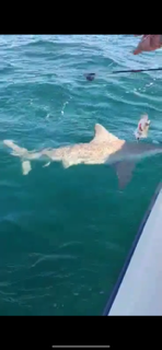 Fishing in Port Orange, Florida