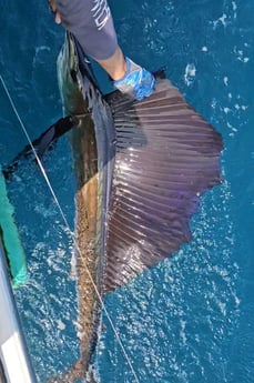 Fishing in Lake Park, Florida
