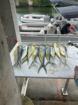 Fishing in Miami, Florida