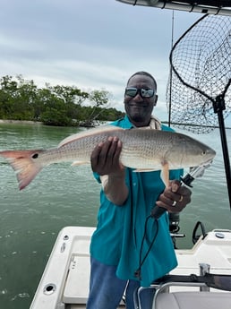 Fishing in Naples, Florida