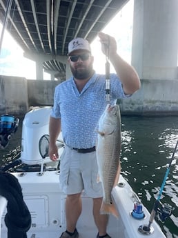 Fishing in Orange Beach, Alabama