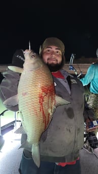 Carp Fishing in Waco, Texas