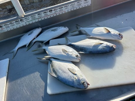 Fishing in Niceville, Florida