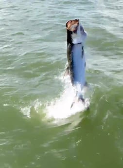 Fishing in Marco Island, Florida