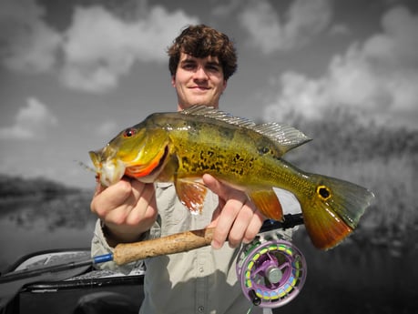 Fishing in Pembroke Pines, Florida