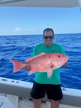 Fishing in Sarasota, Florida
