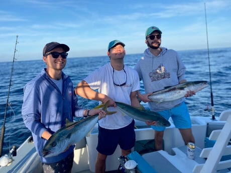Yellowtail Amberjack fishing in Cabo San Lucas, Mexico