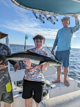 Cobia Fishing in Tarpon Springs, Florida