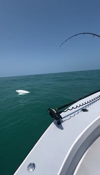 Fishing in Holmes Beach, Florida