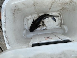 Fishing in Weston, Florida