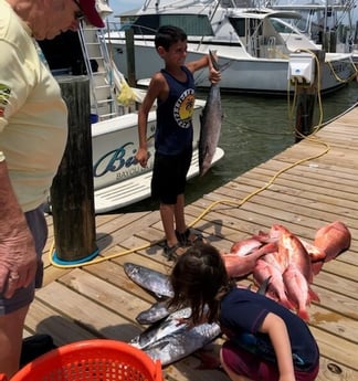 King Mackerel / Kingfish, Red Snapper fishing in Dauphin Island, Alabama