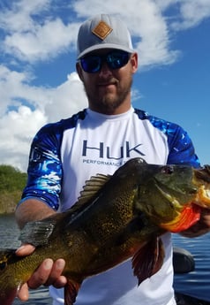 Peacock Bass fishing in Fort Lauderdale, Florida