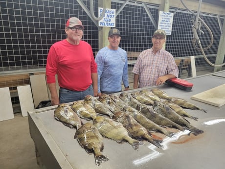 Black Drum Fishing in Matagorda, Texas