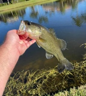Fishing in Zanesville, Ohio