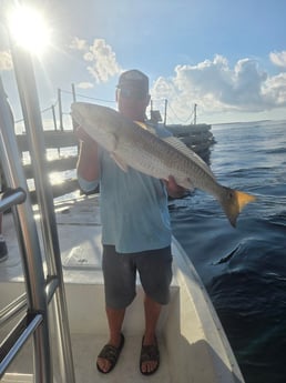 Redfish fishing in