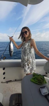 Fishing in Sarasota, Florida