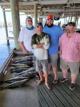 Black Drum, Speckled Trout / Spotted Seatrout fishing in San Leon, Texas