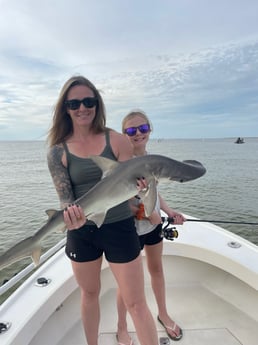 Bonnethead Shark Fishing in Tampa, Florida