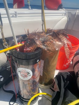 Fishing in Key West, Florida