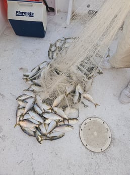 Fishing in Howard, New York