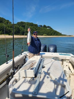 Fishing in Port Jefferson, New York