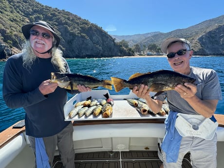 Fishing in Los Angeles, California