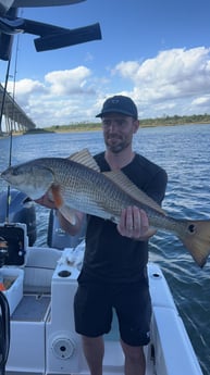 Redfish Fishing in North Charleston, South Carolina