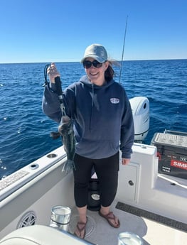 Fishing in Mount Pleasant, South Carolina