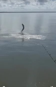 Fishing in Marco Island, Florida