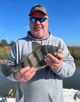 Black Drum Fishing in Mt Pleasant, South Carolina