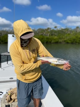 Snook Fishing in New Smyrna Beach, Florida