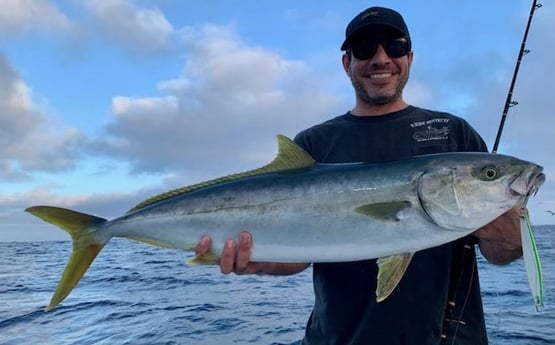 Yellowtail Amberjack Fishing in Dana Point, California