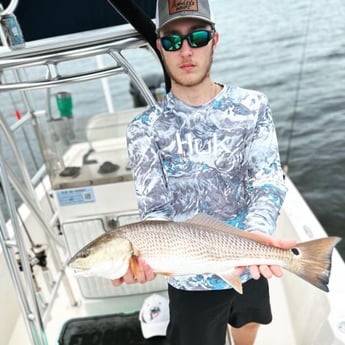 Redfish Fishing in Cape Coral, Florida
