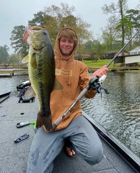 Largemouth Bass Fishing in Austin, Texas