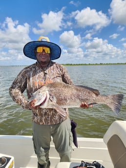 Black Drum Fishing in New Orleans, Louisiana