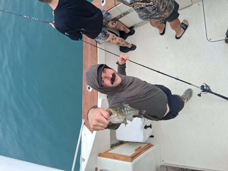 Fishing in Dana Point, California