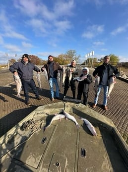 Fishing in Dallas, Texas