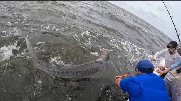 Fishing in Cedar Key, Florida