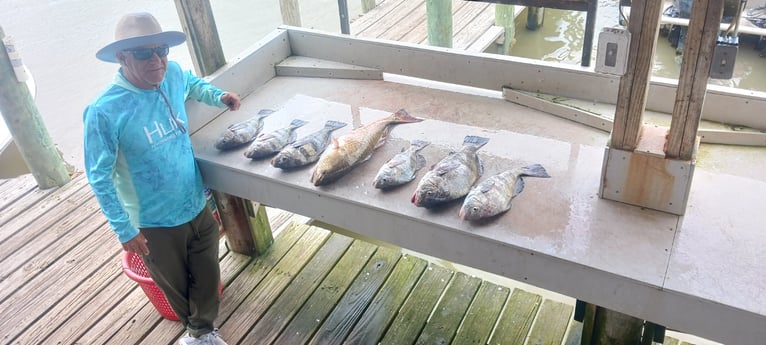 Fishing in Houston, Texas