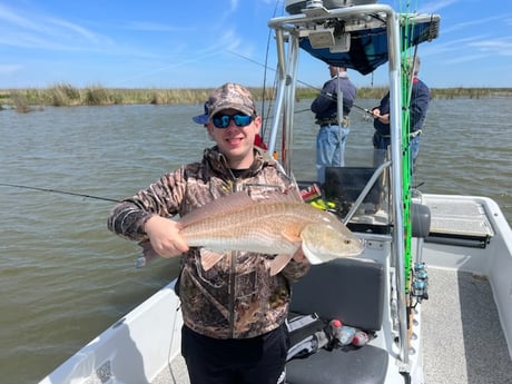 Redfish Fishing in Buras, Louisiana