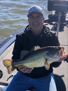 Largemouth Bass fishing in Lake Fork, Texas