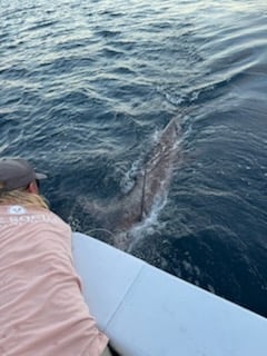 Fishing in Panama City, Florida