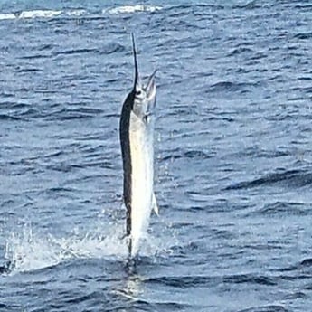 Fishing in Hillsboro Beach, Florida