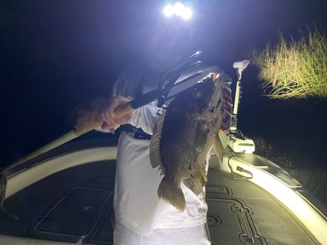 Fishing in Pembroke Pines, Florida